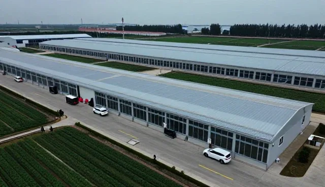 开封市恒硕彩灯艺术有限公司介绍技术培训等基础知识